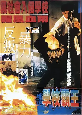 国产精品视频久久久久