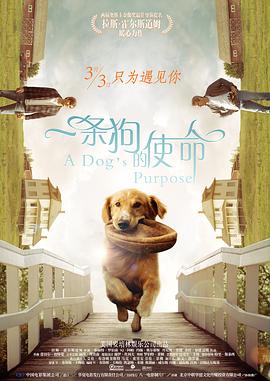 亚洲国产精品高清在线一区