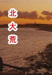 日韩成年人视频在线