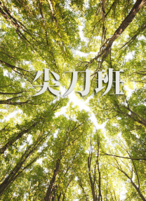 欧美片能看的一级毛片