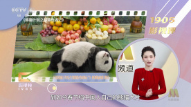 亚洲在线播放电影